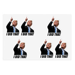 I Did That Political Humor Sticker Sheet