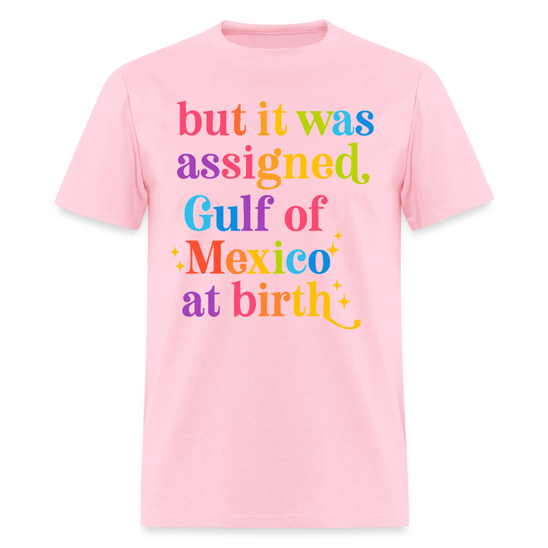 But It Was Assigned Gulf Of Mexico At Birth T Shirt - pink