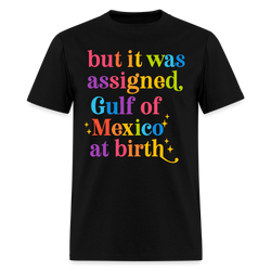 But It Was Assigned Gulf Of Mexico At Birth T Shirt - black