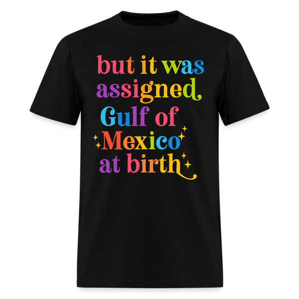 But It Was Assigned Gulf Of Mexico At Birth T Shirt - black