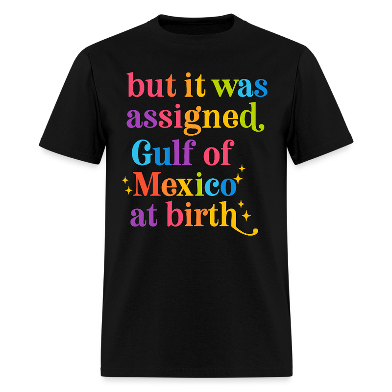 But It Was Assigned Gulf Of Mexico At Birth T Shirt - black